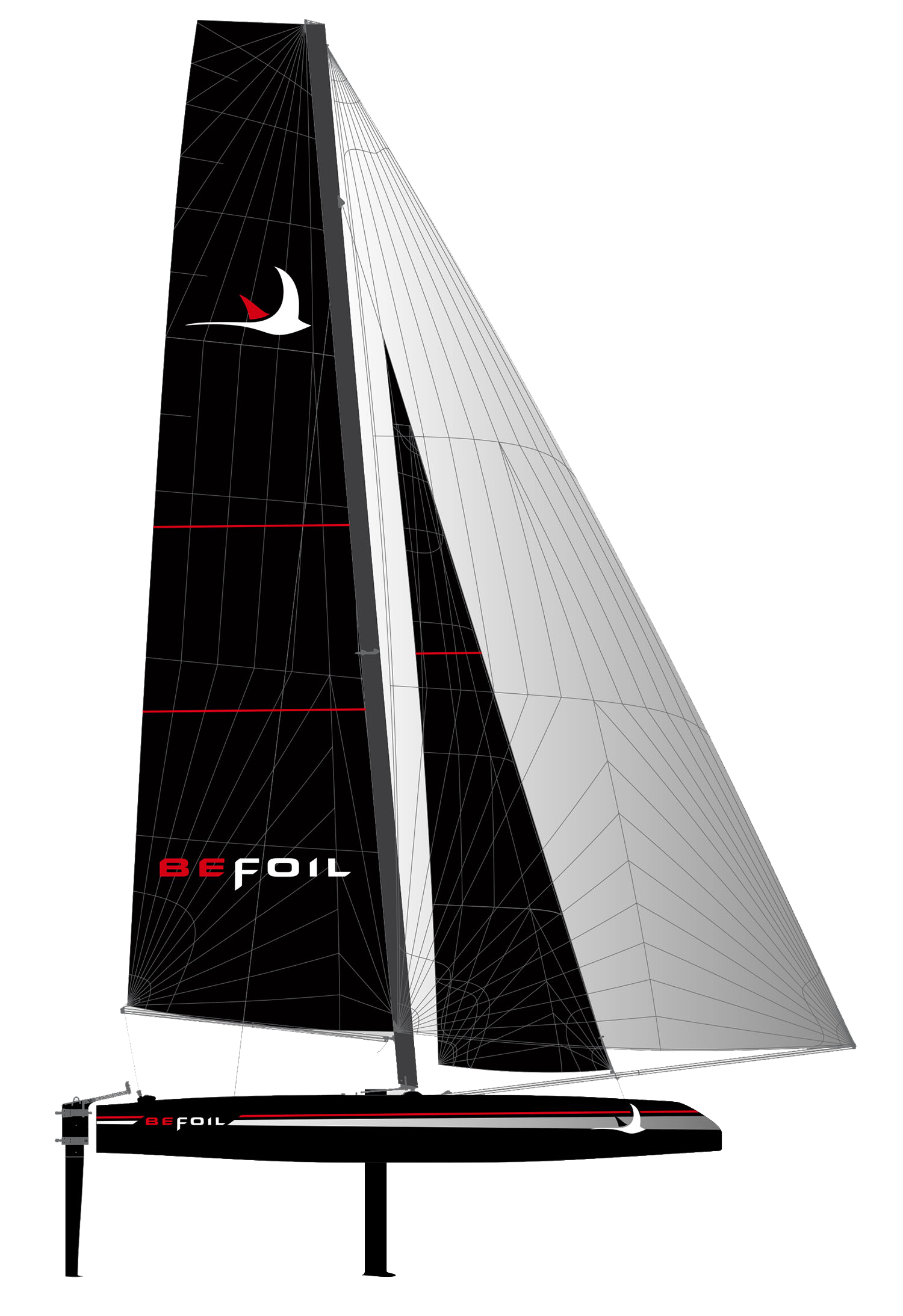 catamaran sport foil