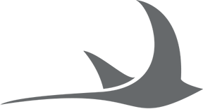 catamaran sport foil